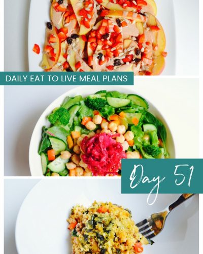Daily Eat to Live Meal Plan Day 51 Dr Fuhrman Nutritarian 6 week program review Dr Greger How Not to Die What the Health Recipes Oil Free Vegan Recipes